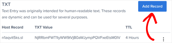 TXT Record List Bluehost